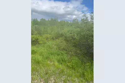 Lot 20 NE Bluff Lane, Beddington, ME 04622 - Photo 1