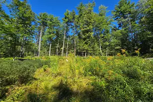 298 Gore Rd, Naples, ME 04055 - Photo 1