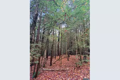 Lot 7E Milliken Road, Parsonsfield, ME 04047 - Photo 1