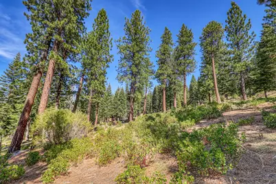 2790 Cross Cut Court, Truckee, CA 96161 - Photo 7