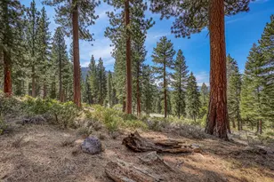 2790 Cross Cut Ct, Truckee, CA 96161 - Photo 1