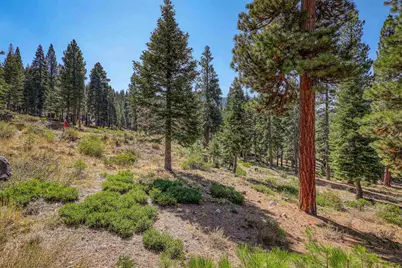 2785 Cross Cut Court, Truckee, CA 96161 - Photo 5