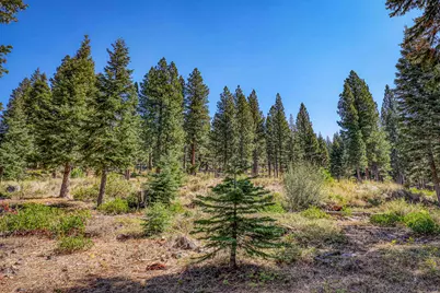 2785 Cross Cut Court, Truckee, CA 96161 - Photo 7