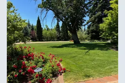 631 California Avenue, Reno, NV 89509 - Photo 3