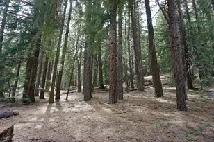6 Pine Tree Ct, Blairsden, CA 96103 - Photo 1