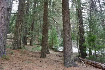 6 Pine Tree Court, Blairsden, CA 96103 - Photo 3