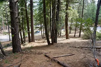 6 Pine Tree Court, Blairsden, CA 96103 - Photo 9