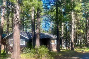 302 Mountain View Rd, Calpine, CA 96124 - Photo 25