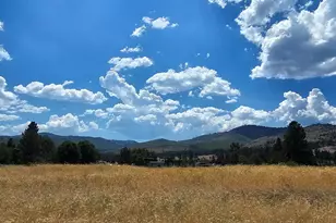 123 Smithneck Rd, Loyalton, CA 96118 - Photo 1