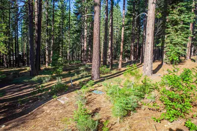 11561 Bottcher Loop, Truckee, CA 96161 - Photo 5