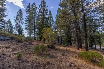 13204 Snowshoe Thompson, Truckee, CA 96161 - Photo 9