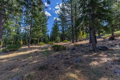 13204 Snowshoe Thompson, Truckee, CA 96161 - Photo 7