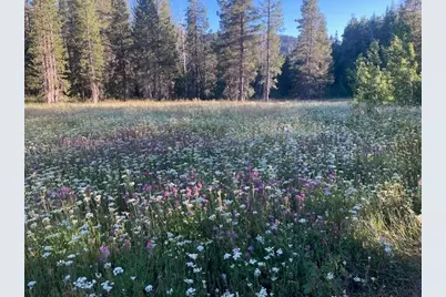 960 Ward Creek Blvd, Tahoe City, CA 96145 - Photo 25