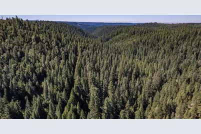 No Address Texas Hill Road, Emigrant Gap, CA 95715 - Photo 9