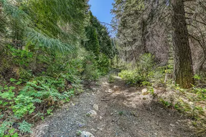 No Address Texas Hill Road, Emigrant Gap, CA 95715 - Photo 5