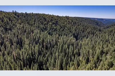 No Address Texas Hill Road, Emigrant Gap, CA 95715 - Photo 7