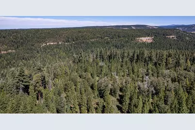 No Address Texas Hill Road, Emigrant Gap, CA 95715 - Photo 17