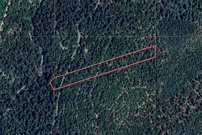 No Address Texas Hill Road, Emigrant Gap, CA 95715 - Photo 3