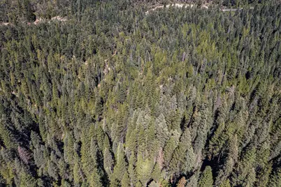 No Address Texas Hill Road, Emigrant Gap, CA 95715 - Photo 23