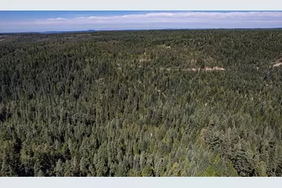 No Address Texas Hill Road, Emigrant Gap, CA 95715 - Photo 11