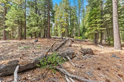 0 Barnes Drive, Truckee, CA 96161 - Photo 7