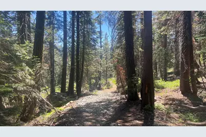 51460 Red Fir Drive, Soda Springs, CA 95728 - Photo 9