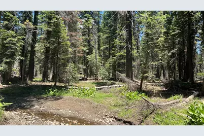 51460 Red Fir Drive, Soda Springs, CA 95728 - Photo 15