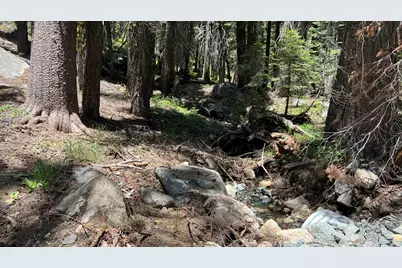 51460 Red Fir Drive, Soda Springs, CA 95728 - Photo 11