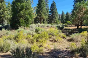 598 Longhorn Dr, Loyalton, CA 96118 - Photo 1