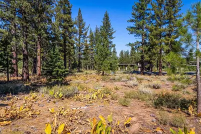 720 John McKinney, Truckee, CA 96161 - Photo 5