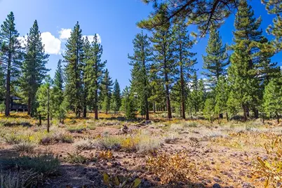 720 John McKinney, Truckee, CA 96161 - Photo 9