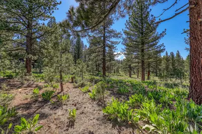 7445 Lahontan Drive, Truckee, CA 96161 - Photo 3