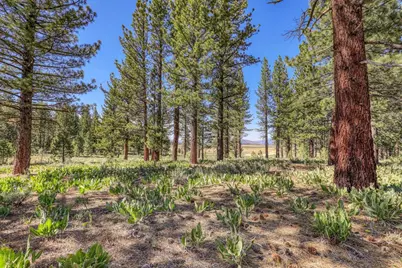 7445 Lahontan Drive, Truckee, CA 96161 - Photo 5