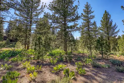 7445 Lahontan Drive, Truckee, CA 96161 - Photo 1