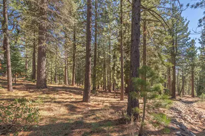 11925 Saddleback Drive, Truckee, CA 96161 - Photo 17