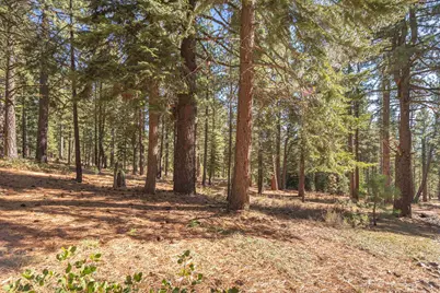 11925 Saddleback Drive, Truckee, CA 96161 - Photo 19