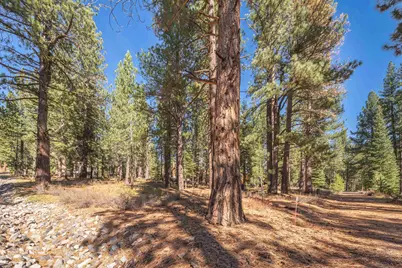 11925 Saddleback Drive, Truckee, CA 96161 - Photo 23