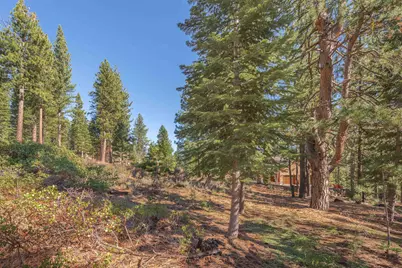 11925 Saddleback Drive, Truckee, CA 96161 - Photo 13