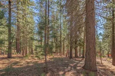 11925 Saddleback Drive, Truckee, CA 96161 - Photo 11