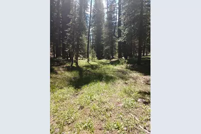 17249 Northwoods Boulevard, Truckee, CA 96161 - Photo 7