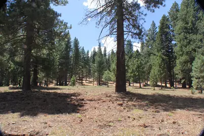 10735 Dogwood, Truckee, CA 96161 - Photo 7