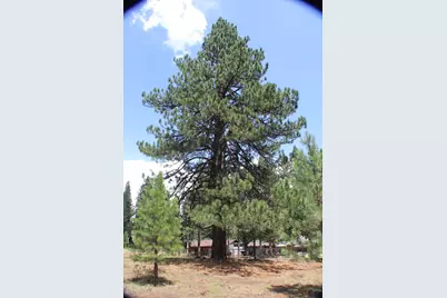10735 Dogwood, Truckee, CA 96161 - Photo 19