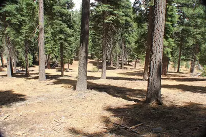 10735 Dogwood, Truckee, CA 96161 - Photo 15