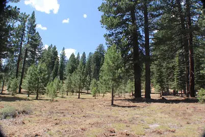 10735 Dogwood, Truckee, CA 96161 - Photo 3