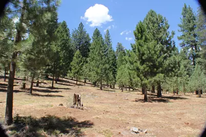 10735 Dogwood, Truckee, CA 96161 - Photo 1