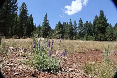 10735 Dogwood, Truckee, CA 96161 - Photo 5