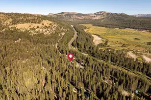 21146 Donner Pass Rd, Soda Springs, CA 95728 - Photo 11