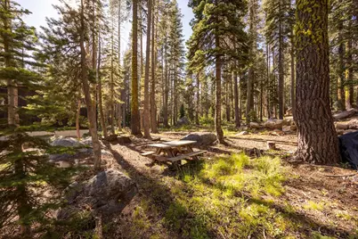 21146 Donner Pass Road, Soda Springs, CA 95728 - Photo 5