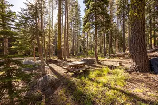 21146 Donner Pass Rd, Soda Springs, CA 95728 - Photo 5