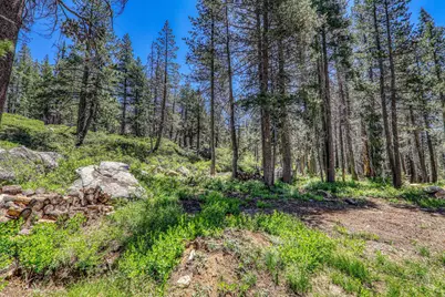 10019 Bunny Hill Road, Soda Springs, CA 95728 - Photo 13